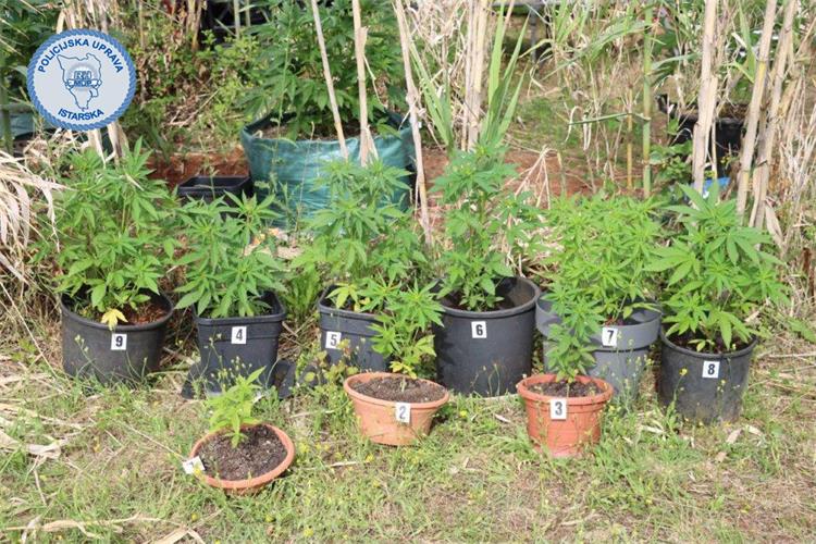 Slika /2024/droga rovinj 20.6.1..jpg